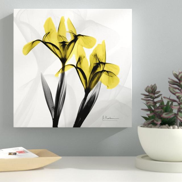 Iris - Wrapped Canvas Graphic Art Print East Urban Home Size: 91 cm H x 91 cm W on Productcaster.