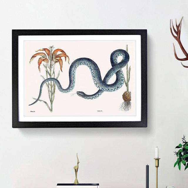 Blue Wampum Snake by Mark Catesby - Picture Frame Painting Print East Urban Home Frame Option: Black Framed, Size: 62cm H x 87cm W x 2cm D on Productcaster.