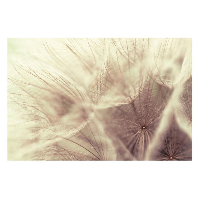 Gulfara Dandelion Semi-Gloss Wall Mural East Urban Home Size: 432cm L x 290cm W on Productcaster.