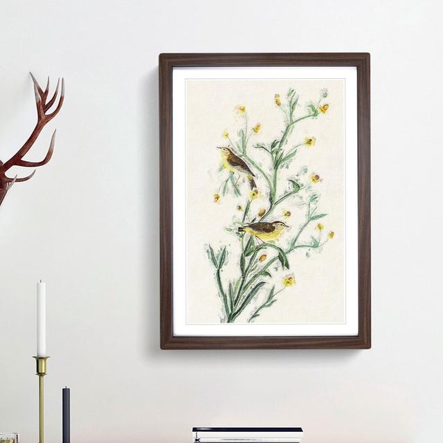 Yellow Red-Poll Warbler From Birds by John James Audubon - Picture Frame Painting Print East Urban Home Frame Option: Walnut Framed, Size: 36cm H x 27 on Productcaster.