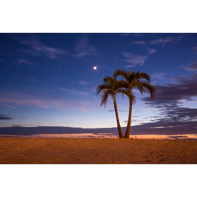 Palm Tree At The Shoreline by EmreKayalar - Wrapped Canvas Print 17 Stories Size: 20cm H x 30cm W on Productcaster.