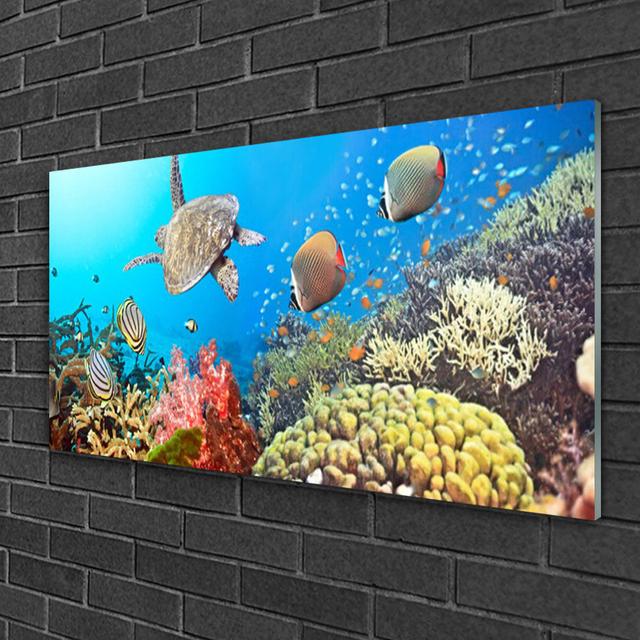 Landscape Coral Reef - Unframed Photograph on Glass Highland Dunes on Productcaster.