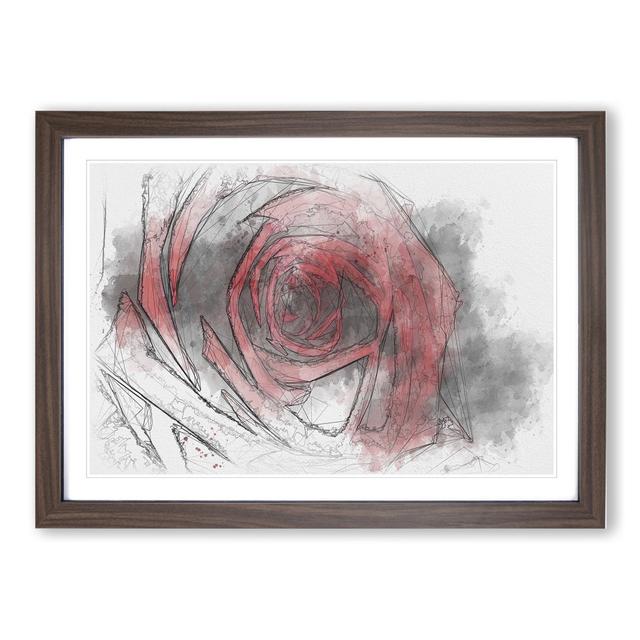 Red Rose Flower Vol.6 - Picture Frame Drawing East Urban Home Frame Option: Walnut Framed, Size: 27cm H x 36cm W x 2cm D on Productcaster.