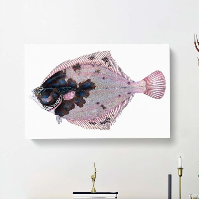 European Flouder Fish by Edward Donovan - Wrapped Canvas Painting Print East Urban Home Size: 40cm H x 60cm W x 3cm D on Productcaster.