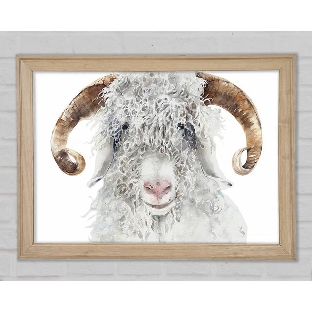 Sheep Beauty - Single Picture Frame Art Prints August Grove Size: 29.7cm H x 42cm W x 1.5cm D on Productcaster.