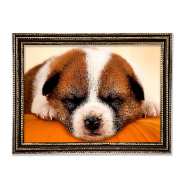 Sleeping Puppy Love - Print Ebern Designs Size: 29.7cm H x 42cm W x 3cm D on Productcaster.