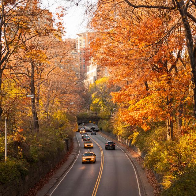 Road With Yellow Taxi's In Central Park by Travel_Motion - No Frame Art Prints on Canvas Alpen Home Size: 76cm H x 76cm W on Productcaster.