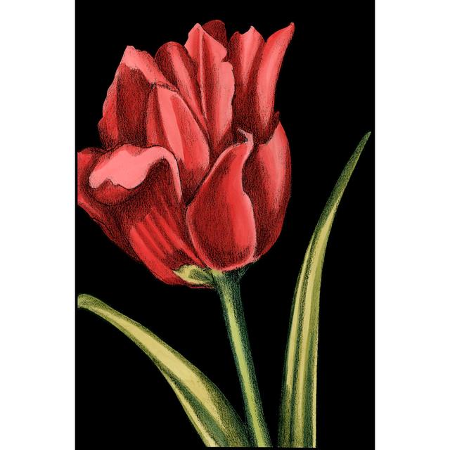 Vibrant Tulips IV - Wrapped Canvas Art Prints Rosalind Wheeler Size: 46cm H x 30cm W x 3.8cm D on Productcaster.