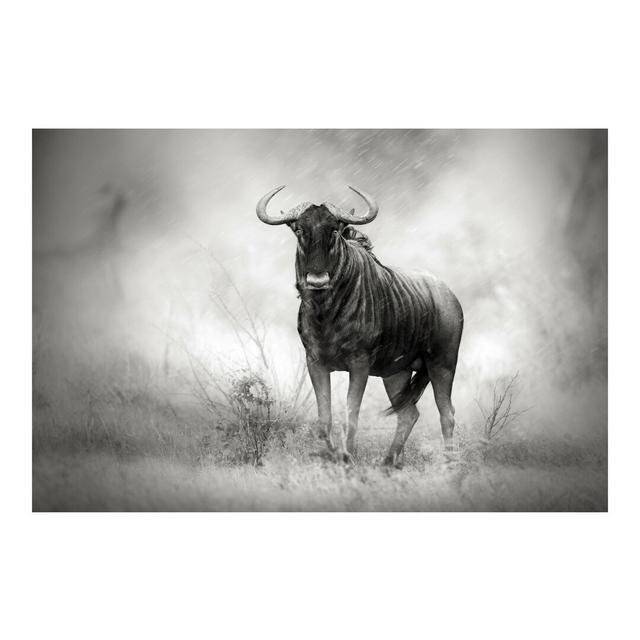 Staring Wildebeest Semi-Gloss Wall Mural East Urban Home Size: 2.88m x 190cm, Material quality: Premium (150g/m²) on Productcaster.