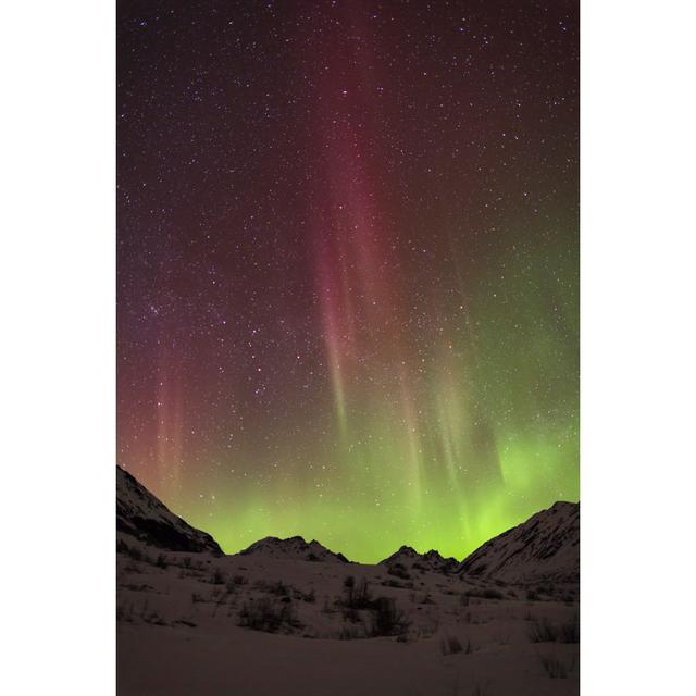 Assunto Aurora Borealis by AKauroraPhotos - Print Alpen Home Size: 76cm H x 51cm W x 3.8cm D on Productcaster.