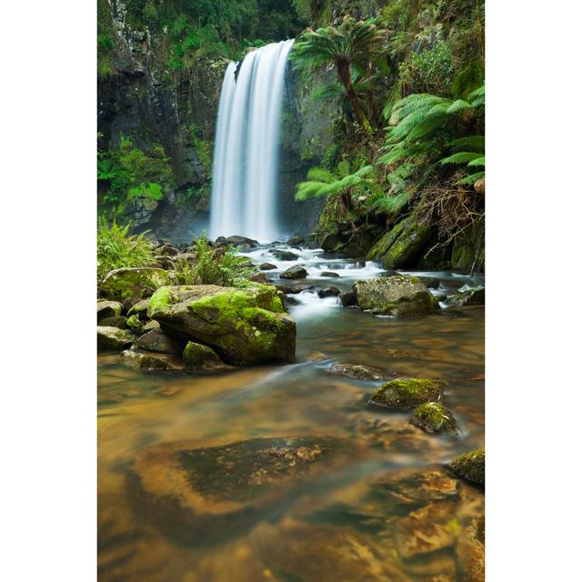 Rainforest Waterfalls by Sarawinter- Leinwandbild Alpen Home Größe: 75 cm H x 50 cm B on Productcaster.