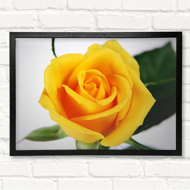 Yellow Rose Framed Print Highland Dunes Size: 84.1cm H x 118.9cm W x 8cm D, Format: Silver/Black Framed Paper on Productcaster.