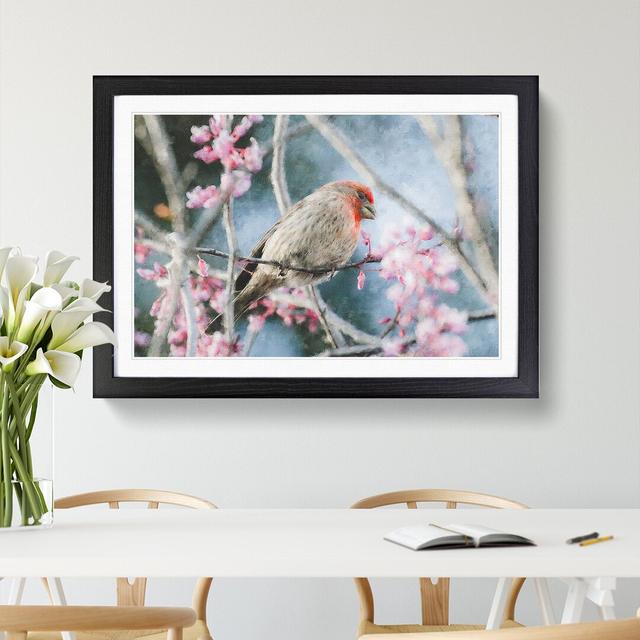 A House Finch Bird - Picture Frame Graphic Art East Urban Home Frame Option: Black Framed, Size: 36cm H x 48cm W x 2cm D on Productcaster.