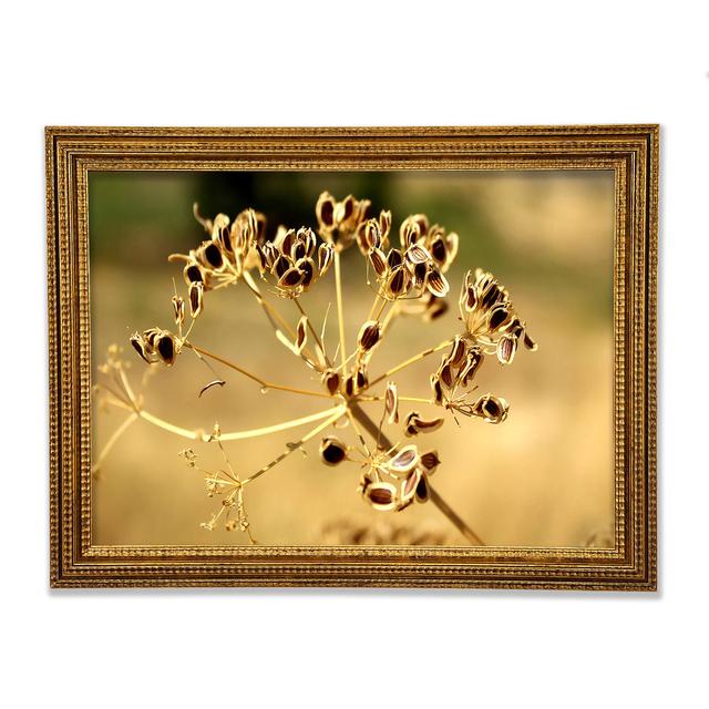 Single Picture Frame Art Prints Ebern Designs Size: 42.1cm H x 59.7cm W on Productcaster.