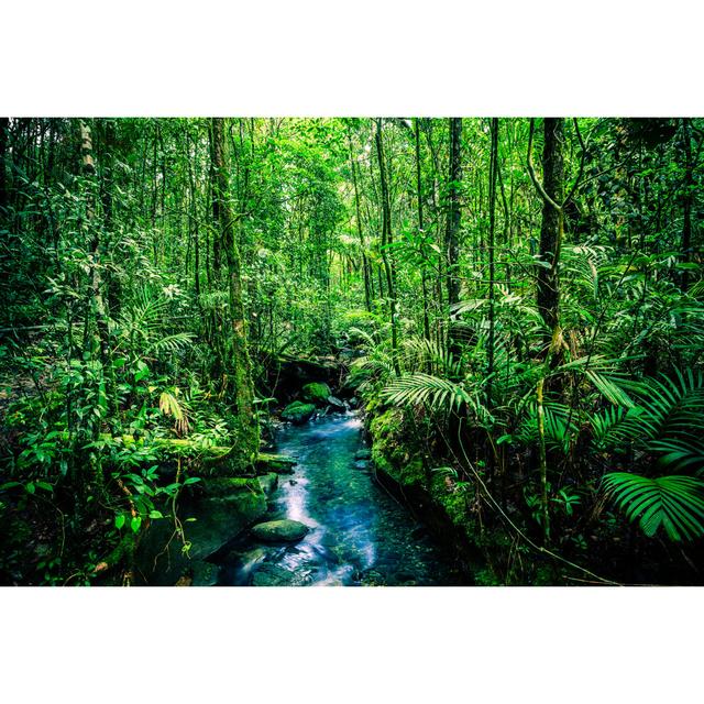 Stream In The Jungle by Zodebala - Print Alpen Home Size: 81cm H x 122cm W on Productcaster.