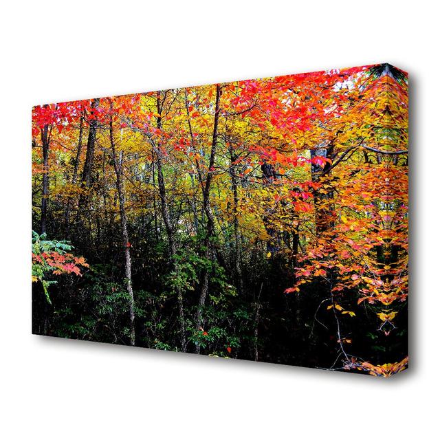 Stunning Colourful Autumn Forest Forest - Wrapped Canvas Photograph Print East Urban Home Size: 101.6 cm H x 142.2 cm W on Productcaster.