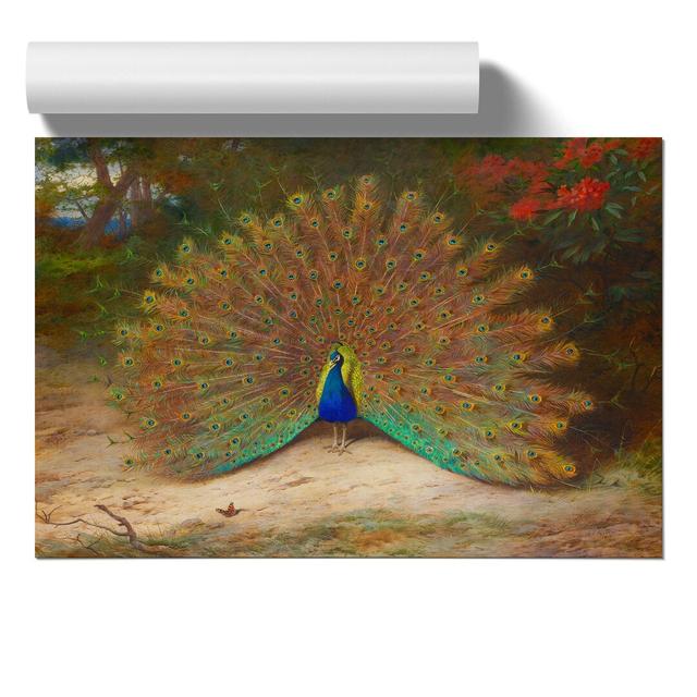 Peacock by Archibald Thorburn - No Frame Painting East Urban Home Size: 21cm H x 30cm W x 0.1cm D on Productcaster.