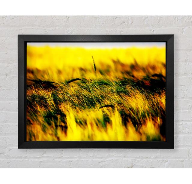 Wheatfield Yellow Framed Print Ebern Designs Size: 84.1cm H x 118.9cm W x 3.4cm D, Format: Black Framed Paper on Productcaster.