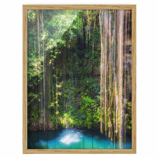 Hanging Roots From Ik-Kil Cenote - Picture Frame Graphic Art Union Rustic Frame Option: Brown Framed, Size: 40cm H x 30cm W x 2cm D on Productcaster.