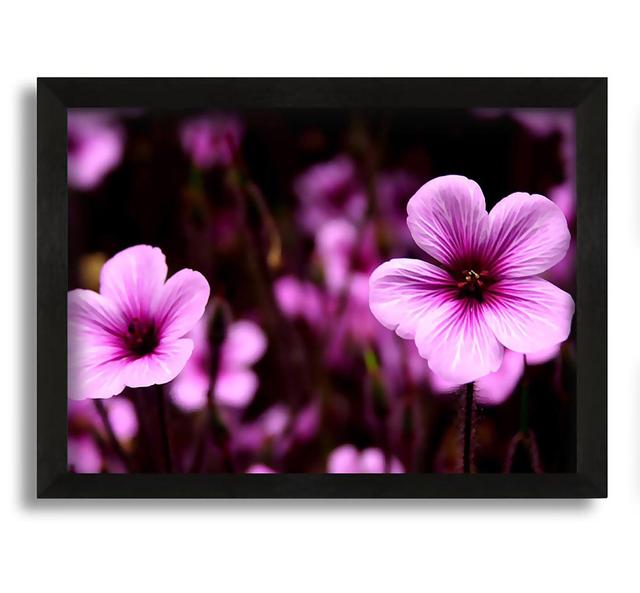 Purple Trumpets - Picture Frame Graphic Art on Canvas Brayden Studio on Productcaster.