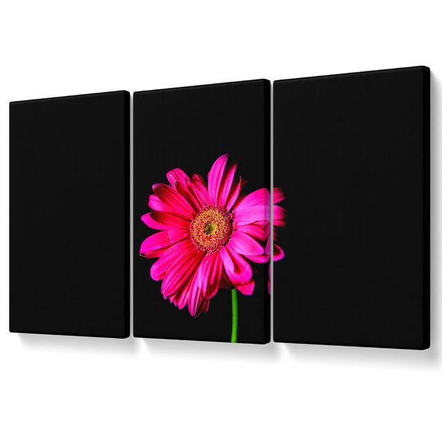 Hot Pink Gerber Daisy - 3 Piece Wrapped Canvas Graphic Art Ebern Designs Size: 121.9cm H x 243.8cm W on Productcaster.