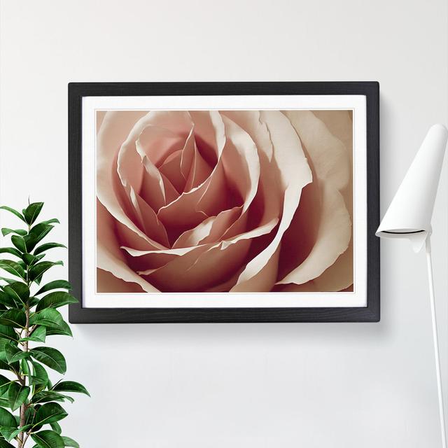 Royal Rose Flower - Picture Frame Painting 17 Stories Frame Colour: Black , Size: 25cm H x 34cm W x 2cm D on Productcaster.