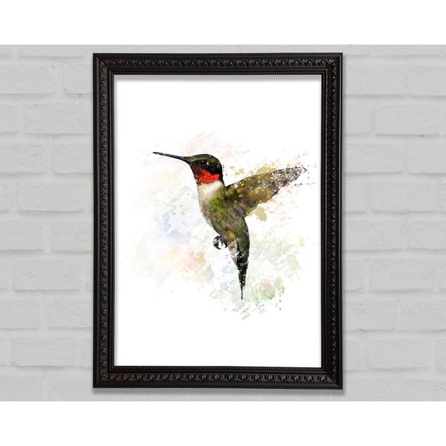 Hummingbird Wings Framed Print Bright Star Size: 100cm H x 141.4cm W on Productcaster.