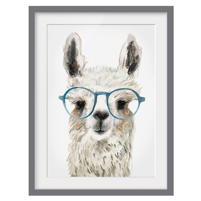 Picture With Frame - Hip Llama With Glasses III - Portrait 4:3 Maturi Size: 40cm H x 30cm W x 2cm D, Frame Option: Grey on Productcaster.