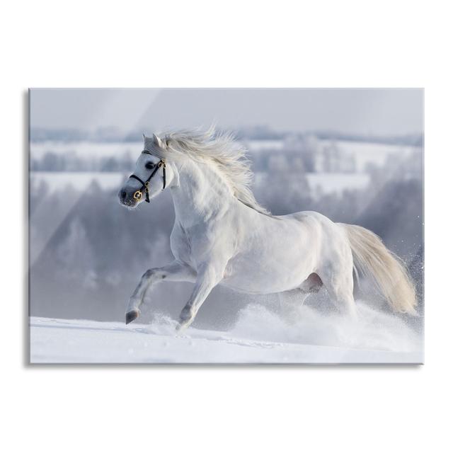 White Horse in Snowy Meadow - Unframed Photograph on Glass Brayden Studio Size: 60cm H x 80cm W x 0.4cm D on Productcaster.