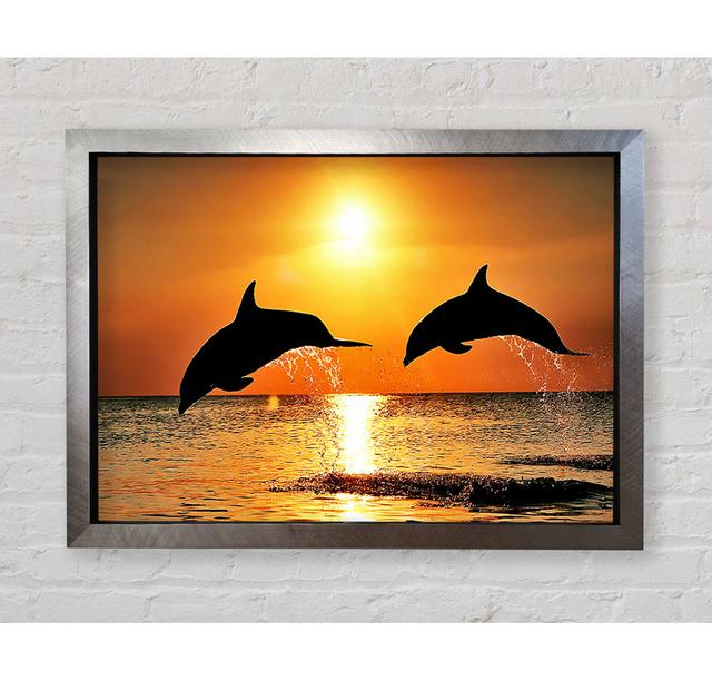 Sunset Dolphins Framed Print House of Hampton Size: 84.1cm H x 118.9cm W x 3.4cm D on Productcaster.