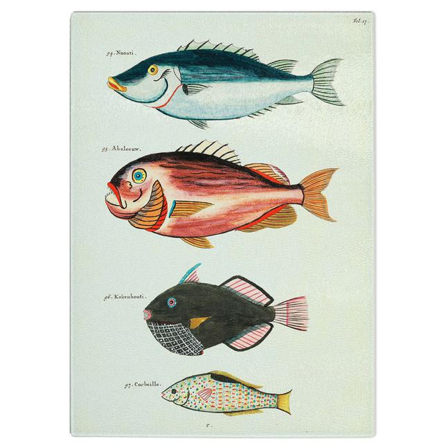 Glass East indies Fish Illustrations Fol. 17 by Louis Renard Chopping Board East Urban Home Size: 28.5 cm W x 20 cm L on Productcaster.