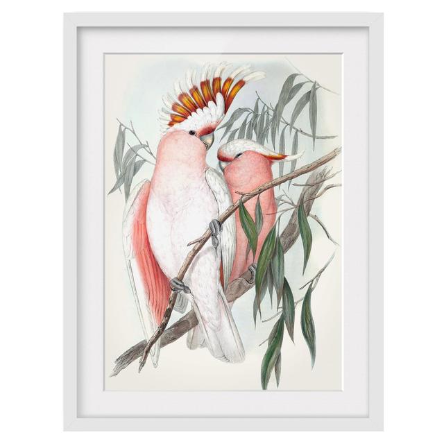 Pastel Parrots I - Picture Frame Painting Bay Isle Home Frame Option: White, Size: 100cm H x 70cm W x 2cm D on Productcaster.