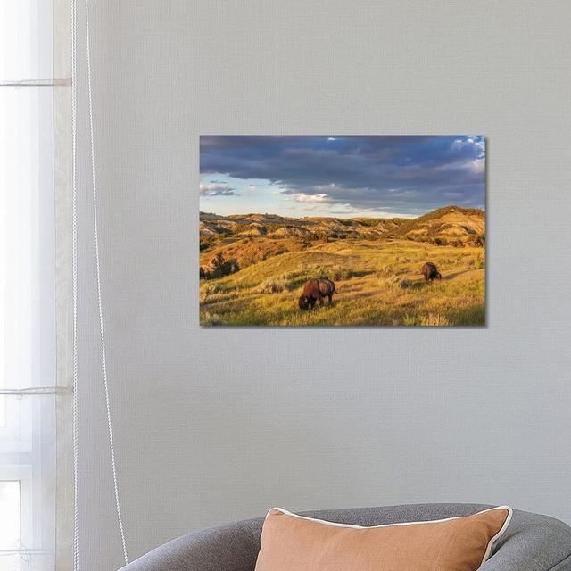 Bison Grazing in Badlands in Theodore Roosevelt National Park, North Dakota, USA by Chuck Haney - Wrapped Canvas Photograph Alpen Home Size: 45.72cm H on Productcaster.