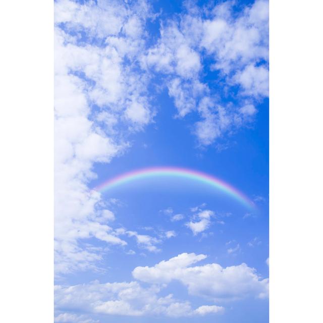 Blue Skies and Rainbows by Gyro - Wrapped Canvas Photograph 17 Stories Size: 91cm H x 61cm W on Productcaster.