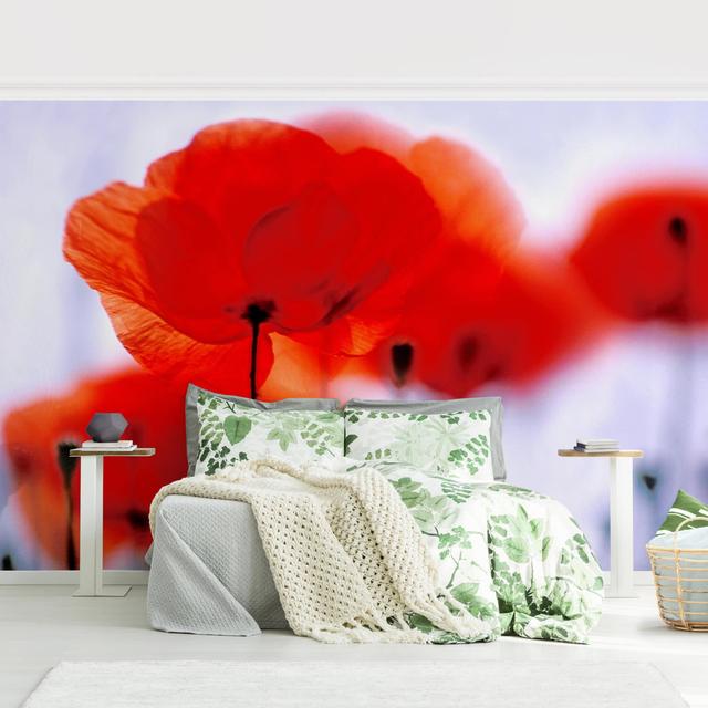 Matt Fototapete Magic Poppies 2,25 m x 336 cm East Urban Home on Productcaster.