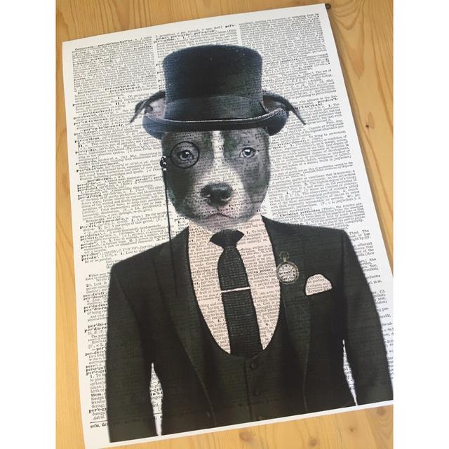 A3 Staffordshire Bull Terrier Dictionary Print - Vintage Dictionary Wall Art - Staffy In Suit - Humanised Dog Print Maturi on Productcaster.