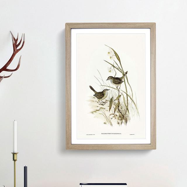 Striated Reed Larks by Elizabeth Gould - Picture Frame Art Print East Urban Home Frame Option: Oak Framed, Size: 36cm H x 27cm W x 2cm D on Productcaster.