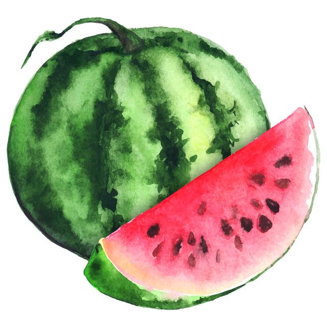 Watermelon - Wrapped Canvas Painting Brambly Cottage Size: 91cm H x 91cm W x 3.8cm D on Productcaster.