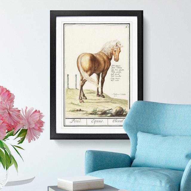 Horse by A.B. de Boodt - Picture Frame Painting Print East Urban Home Size: 36cm H x 27cm W x 2cm D, Frame Option: Black Framed on Productcaster.