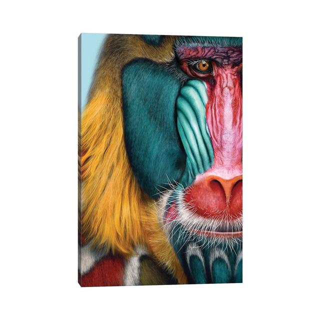 Mandrill by Giulio Rossi - Print on Canvas 17 Stories Format: Wrapped Canvas, Size: 45.72cm H x 30.48cm W x 1.91cm D on Productcaster.