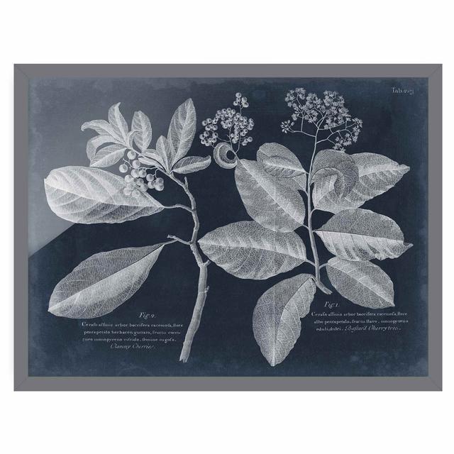 Foliage Dark Blue - Cordie - Picture Frame Painting August Grove Frame Option: Grey Framed, Size: 50cm H x 70cm W x 2cm D on Productcaster.