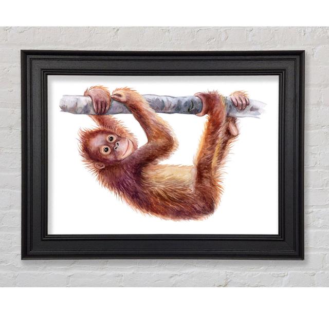 Hanging On A Branch Orangutan - Single Picture Frame Art Prints Latitude Vive Size: 84.1cm H x 118.9cm W on Productcaster.