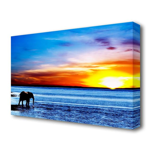 Elephant Ocean Wildlife - Wrapped Canvas Photographic Print East Urban Home Size: 50.8 cm H x 81.3 cm W on Productcaster.