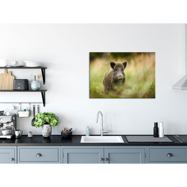 Glasbild Proud Wild Boar in Woods Brayden Studio Größe: 70 cm H x 100 cm B x 0,4 cm T on Productcaster.