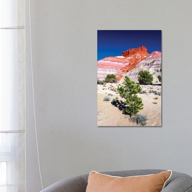 Evening Light on the Cockscomb, Grand Staircase-Escalante National Monument, Utah, USA by Russ Bishop - Wrapped Canvas Art Prints Alpen Home Size: 66. on Productcaster.