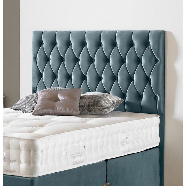 Norsworthy Upholstered Headboard Ebern Designs Colour: Plush Velvet Sky, Mattress Size: King (5') on Productcaster.