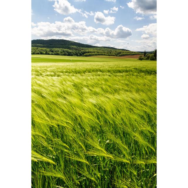 Haruka Cereal Field - Wrapped Canvas Print Brambly Cottage Size: 30cm H x 20cm W x 3.8cm D on Productcaster.