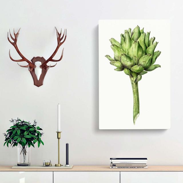 An Artichoke - Wrapped Canvas Painting Print East Urban Home Size: 60cm H x 40cm W x 3cm D on Productcaster.