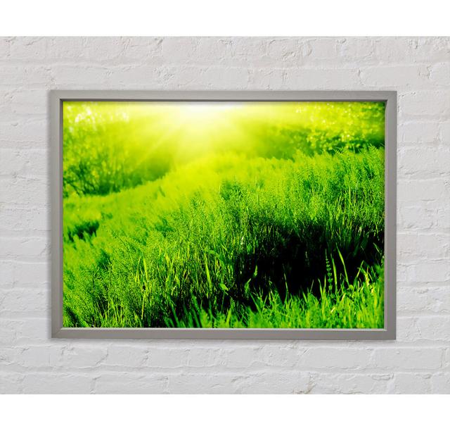 Sunbeam Meadow - Single Picture Frame Art Prints Ebern Designs Size: 100cm H x 141.4cm W x 3.3cm D, Format: Dark Grey Framed Canvas on Productcaster.