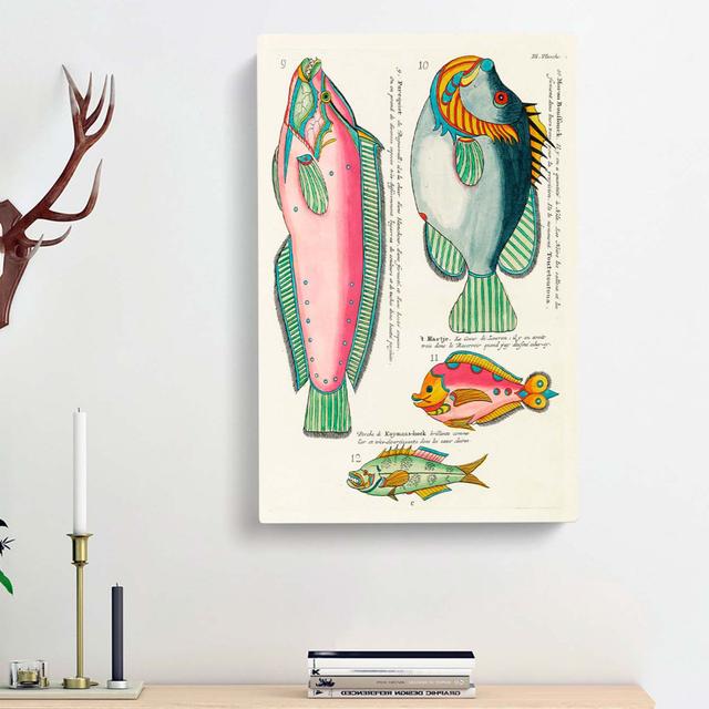 East Indies Fish Illustrations III by Louis Renard - Wrapped Canvas Painting Print East Urban Home Size: 50cm H x 35cm W x 3cm D on Productcaster.